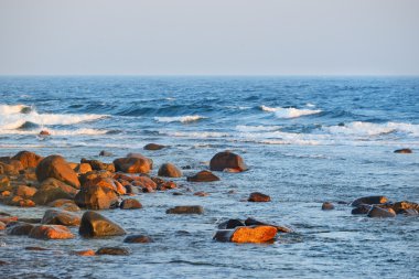 Baltic sea shore clipart