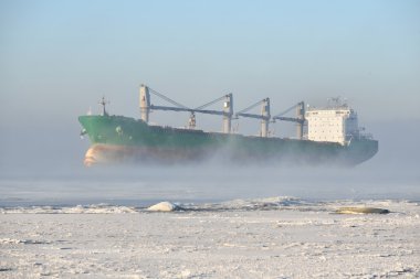 Kargo gemisi Riga, Letonya