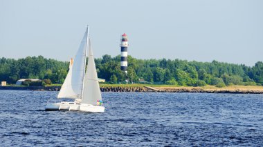 Beyaz yelkenli yat yelken.