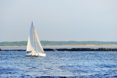 Beyaz yelkenli yat yelken.