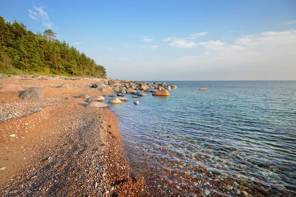 Baltische Zee kust — Stockfoto