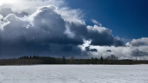 Těžký sníh bouřková mračna nad poli — Stock fotografie