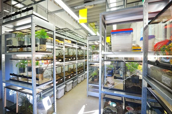 Terrariums in Tallinn Zoo — Stock Photo, Image