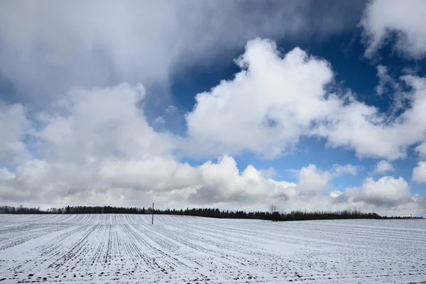 Nuvole di forte tempesta di neve sui campi — Foto Stock