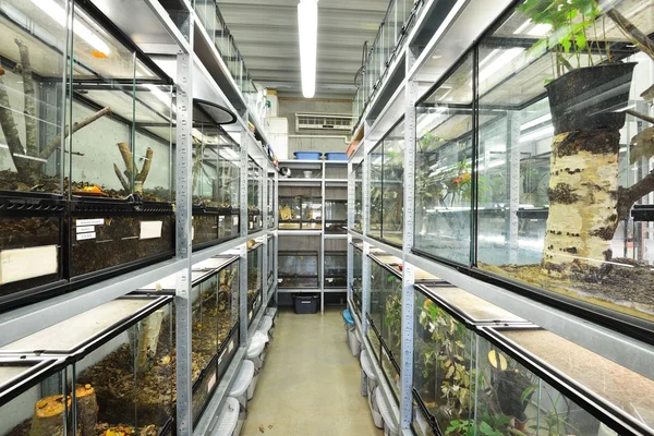 Terrariums in Tallinn Zoo — Stock Photo, Image