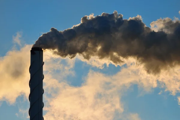 Factory pipe  with smoke — Stock Photo, Image