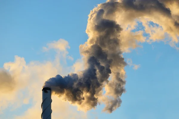 Factory pipe  with smoke — Stock Photo, Image