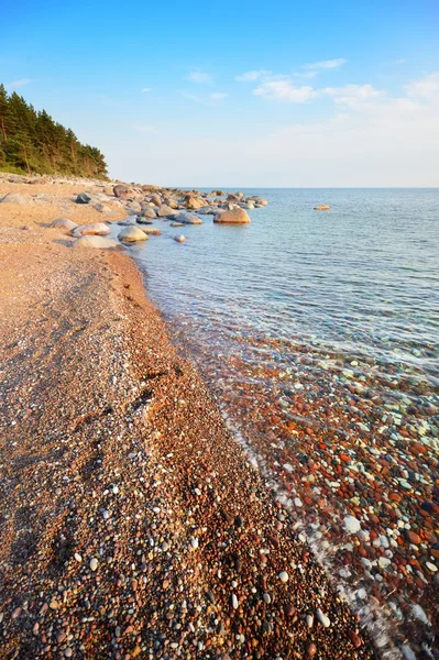 Baltische Zee kust — Stockfoto