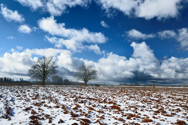 Tung snö storm moln över fälten — Stockfoto
