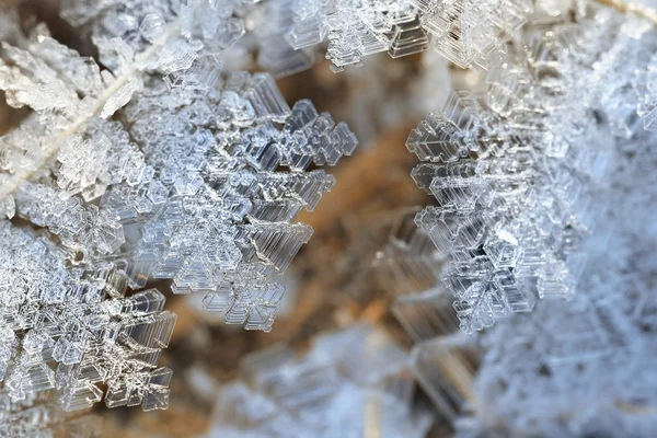 Cristales de nieve de cerca —  Fotos de Stock