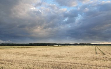 Dramatik gökyüzü, zirai tarlaların ve ormanların üzerindeki kara bulutlar. Kırsal alan. Atmosferik manzara. Sonbaharın başında. Doğa, kararsız hava, ekoloji, çevre, tarım endüstrisi, uzak yerler