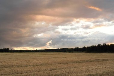 Dramatik gökyüzü, zirai tarlaların ve ormanların üzerindeki kara bulutlar. Kırsal alan. Atmosferik manzara. Sonbaharın başında. Doğa, kararsız hava, ekoloji, çevre, tarım endüstrisi, uzak yerler