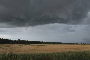 Dramatik gökyüzü, zirai tarlaların ve ormanların üzerindeki kara bulutlar. Kırsal alan. Atmosferik manzara. Sonbaharın başında. Doğa, kararsız hava, ekoloji, çevre, tarım endüstrisi, uzak yerler