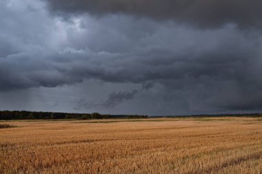 Dramatik gökyüzü, zirai tarlaların ve ormanların üzerindeki kara bulutlar. Kırsal alan. Atmosferik manzara. Sonbaharın başında. Doğa, kararsız hava, ekoloji, çevre, tarım endüstrisi, uzak yerler