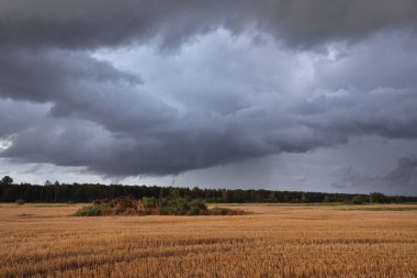 Dramatik gökyüzü, zirai tarlaların ve ormanların üzerindeki kara bulutlar. Kırsal alan. Atmosferik manzara. Sonbaharın başında. Doğa, kararsız hava, ekoloji, çevre, tarım endüstrisi, uzak yerler