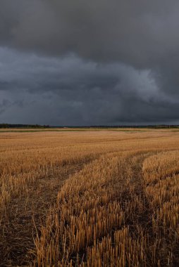 Dramatik gökyüzü, zirai tarlaların ve ormanların üzerindeki kara bulutlar. Kırsal alan. Atmosferik manzara. Sonbaharın başında. Doğa, kararsız hava, ekoloji, çevre, tarım endüstrisi, uzak yerler