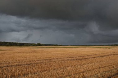 Dramatik gökyüzü, zirai tarlaların ve ormanların üzerindeki kara bulutlar. Kırsal alan. Atmosferik manzara. Sonbaharın başında. Doğa, kararsız hava, ekoloji, çevre, tarım endüstrisi, uzak yerler