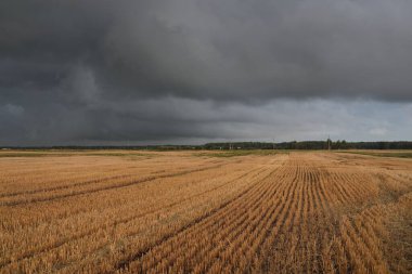 Dramatik gökyüzü, zirai tarlaların ve ormanların üzerindeki kara bulutlar. Kırsal alan. Atmosferik manzara. Sonbaharın başında. Doğa, kararsız hava, ekoloji, çevre, tarım endüstrisi, uzak yerler