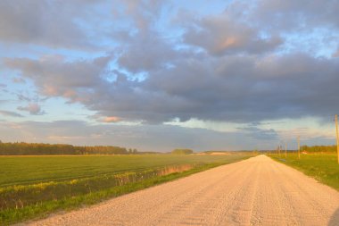 Fırtınadan sonra tarladan geçen boş köy yolu. Arabadan bir manzara. Idyllic kırsal kesim. Renkli, parlayan günbatımı bulutları. Ulaşım, yolculuk, özgürlük, seyahat tutkusu, uzak yerler kavramları.