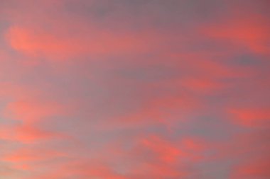 Açık mavi gökyüzü. Pembe parlayan, altın sirrus ve kümülüs bulutları fırtına üstüne, yumuşak güneş ışığı. Gün batımı bulutları. Meteoroloji, gece yarısı güneşi, cennet, huzur, grafik kaynakları, resimli panoramik manzara
