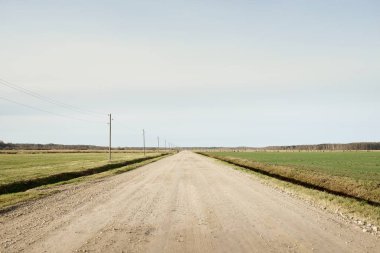 Gün batımında tarlada sürülen tarlalar ve ormandan geçen kırsal yol. Elektrik güç hattı. Sonbahar, kışın başlangıcı. Panoramik manzara. Doğa, ekoloji, kırsal yaşam, uzak yerler
