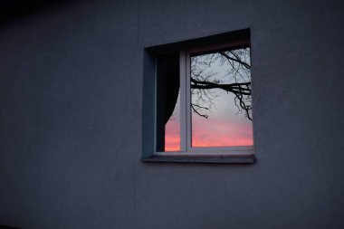 Ağaç dalları ve parlayan kırmızı bulutlar, pencere camındaki yansımalar. Kış batımı. Manzara kavramı. Dış bina, uzak yerler, çevre koruma kavramları. Panoramik resim