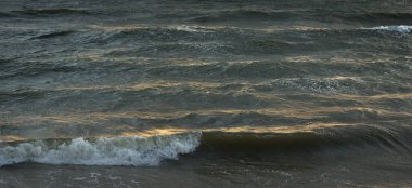 Fırtınadan sonra Baltık kıyıları. Gün batımı, yumuşak altın güneş ışığı. Su yüzeyi dokusu, çarpan dalgalar ve sıçramalar. Resimli panoramik manzara, arka plan. Doğa, çevre, ekoloji kavramları