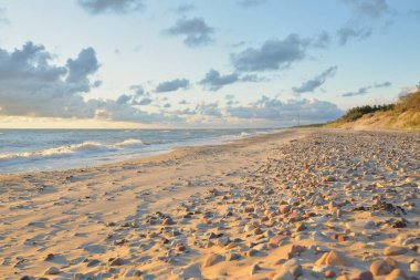 Fırtınadan sonra Baltık kıyıları (kum tepeleri, plaj). Gün batımı, yumuşak altın güneş ışığı, parlayan bulutlar. Resimli panoramik manzara. Doğa, çevre, ekoloji, eko-turizm, yürüyüş, keşif kavramları