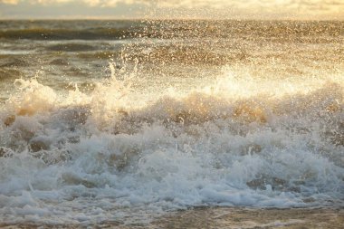 Fırtınadan sonra Baltık kıyıları. Gün batımı, yumuşak altın güneş ışığı. Su yüzeyi dokusu, çarpan dalgalar ve sıçramalar. Resimli panoramik manzara, arka plan. Doğa, çevre, ekoloji kavramları