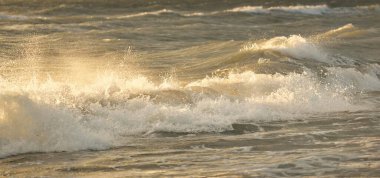 Fırtınadan sonra Baltık kıyıları. Gün batımı, yumuşak altın güneş ışığı. Su yüzeyi dokusu, çarpan dalgalar ve sıçramalar. Resimli panoramik manzara, arka plan. Doğa, çevre, ekoloji kavramları