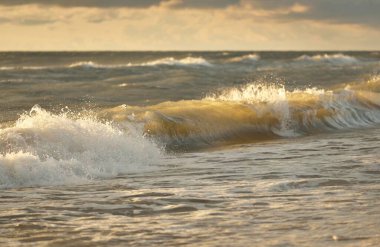 Fırtınadan sonra Baltık kıyıları (kum tepeleri, plaj). Gün batımı, yumuşak altın güneş ışığı, parlayan bulutlar. Resimli panoramik manzara. Doğa, çevre, ekoloji, eko-turizm, yürüyüş, keşif kavramları