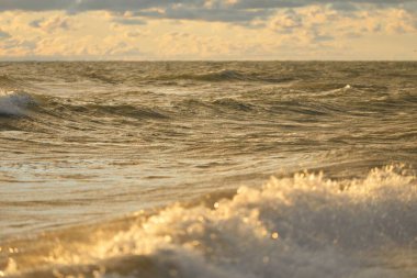 Fırtınadan sonra Baltık kıyıları (kum tepeleri, plaj). Gün batımı, yumuşak altın güneş ışığı, parlayan bulutlar. Resimli panoramik manzara. Doğa, çevre, ekoloji, eko-turizm, yürüyüş, keşif kavramları