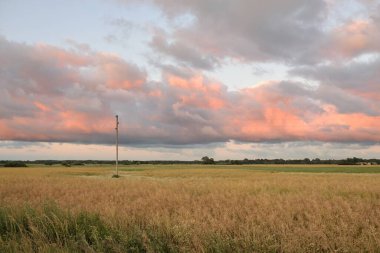 Günbatımında tarlaya sürülen tarla ve ormanın panoramik manzarası. Dramatik gökyüzü, parlayan bulutlar. Doğa, çevre, ekoloji, alternatif enerji ve üretim, uzak yerler. Idyllic kırsal alanı