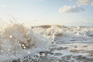 Fırtınadan sonra Baltık kıyıları. Gün batımı, yumuşak altın güneş ışığı. Su yüzeyi dokusu, çarpan dalgalar ve sıçramalar. Resimli panoramik manzara. Idyllic deniz manzarası. Doğa, çevre, ekoloji temaları