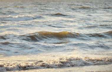 Fırtınadan sonra Baltık kıyıları. Gün batımı, yumuşak altın güneş ışığı. Su yüzeyi dokusu, çarpan dalgalar ve sıçramalar. Resimli panoramik manzara, arka plan. Doğa, çevre, ekoloji kavramları