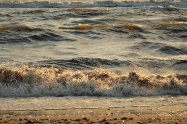 Fırtınadan sonra Baltık kıyıları. Gün batımı, yumuşak altın güneş ışığı. Su yüzeyi dokusu, çarpan dalgalar ve sıçramalar. Resimli panoramik manzara, arka plan. Doğa, çevre, ekoloji kavramları