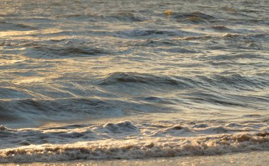 Fırtınadan sonra Baltık kıyıları. Gün batımı, yumuşak altın güneş ışığı. Su yüzeyi dokusu, çarpan dalgalar ve sıçramalar. Resimli panoramik manzara, arka plan. Doğa, çevre, ekoloji kavramları