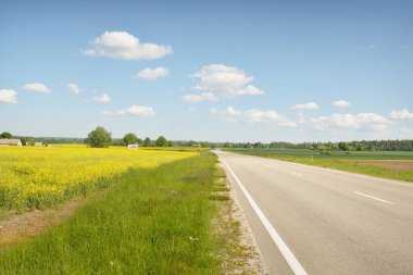 Güneşli bir günde yeşil tarlalarda ve ormanlarda araba sürmek. Açık mavi gökyüzü. Idyllic kırsal alanı, konsept manzarası. Doğa, uzak yerler, lojistik, yaz tatili, yol gezisi