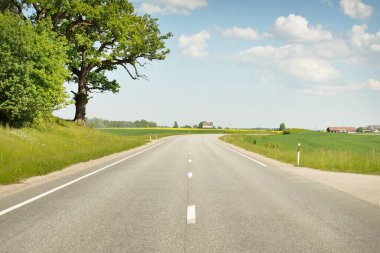Güneşli bir günde yeşil tarlalarda ve ormanlarda araba sürmek. Açık mavi gökyüzü. Idyllic kırsal alanı, konsept manzarası. Doğa, uzak yerler, lojistik, yaz tatili, yol gezisi
