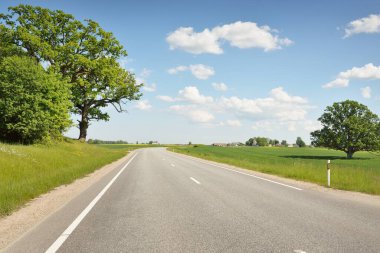 Güneşli bir günde yeşil tarlalarda ve ormanlarda araba sürmek. Açık mavi gökyüzü. Idyllic kırsal alanı, konsept manzarası. Doğa, uzak yerler, lojistik, yaz tatili, yol gezisi