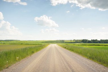 Güneşli bir günde yeşil tarlalarda ve ormanlarda araba sürmek. Açık mavi gökyüzü. Idyllic kırsal alanı, konsept manzarası. Doğa, uzak yerler, lojistik, yaz tatili, yol gezisi