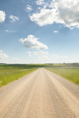 Güneşli bir günde yeşil tarlalarda ve ormanlarda araba sürmek. Açık mavi gökyüzü. Idyllic kırsal alanı, konsept manzarası. Doğa, uzak yerler, lojistik, yaz tatili, yol gezisi