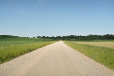 Güneşli bir günde yeşil tarlalarda ve ormanlarda araba sürmek. Açık mavi gökyüzü. Idyllic kırsal alanı, konsept manzarası. Doğa, uzak yerler, lojistik, yaz tatili, yol gezisi