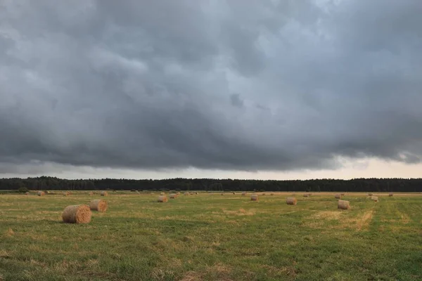 Dramatische Hemel Donkere Wolken Boven Het Geploegde Landbouwveld Bos Landelijk — Stockfoto