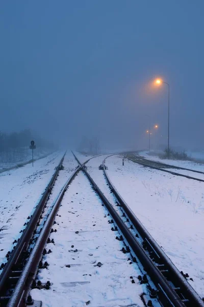 Podświetlana Pokryta Śniegiem Kolej Nocy Atmosferyczny Zimowy Krajobraz Tajemnicze Niebieskie — Zdjęcie stockowe