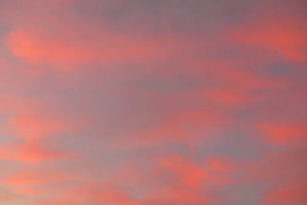 Jasné Modré Nebe Zářící Růžový Zlatý Cirrus Kumulující Mraky Bouři — Stock fotografie