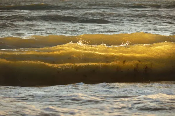 Ostseeküste Nach Dem Sturm Sonnenuntergang Sanftes Goldenes Sonnenlicht Wasseroberflächenstruktur Krachende — Stockfoto