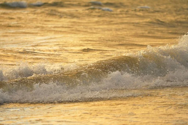 Riva Del Mar Baltico Dopo Tempesta Tramonto Morbida Luce Dorata — Foto Stock