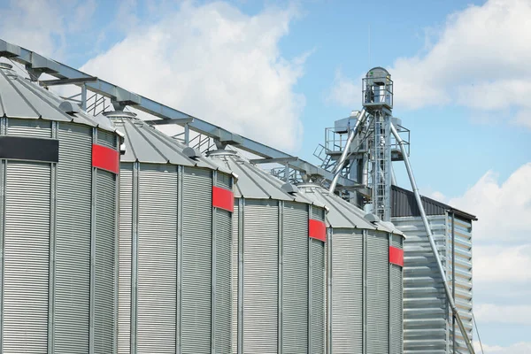 Nuove Lucide Costruzioni Moderne Essiccazione Del Grano Agricoltura Agricoltura Industria — Foto Stock
