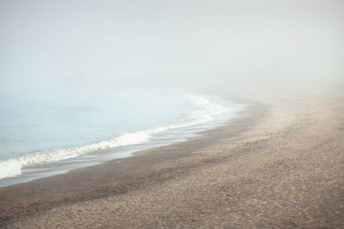 Güneşin doğuşunda sisli bir havada Baltık Denizi manzarası. Kumsal, kum tepeleri. Yumuşak güneş ışığı. Idyllic yaz deniz manzarası. Doğa, çevre, tatiller, eko-turizm, yürüyüş ve keşif kavramları
